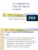 GEOTECNIA AMBIENTAL E REMEDIAÇÃO DE ÁREAS CONTAMINADAS