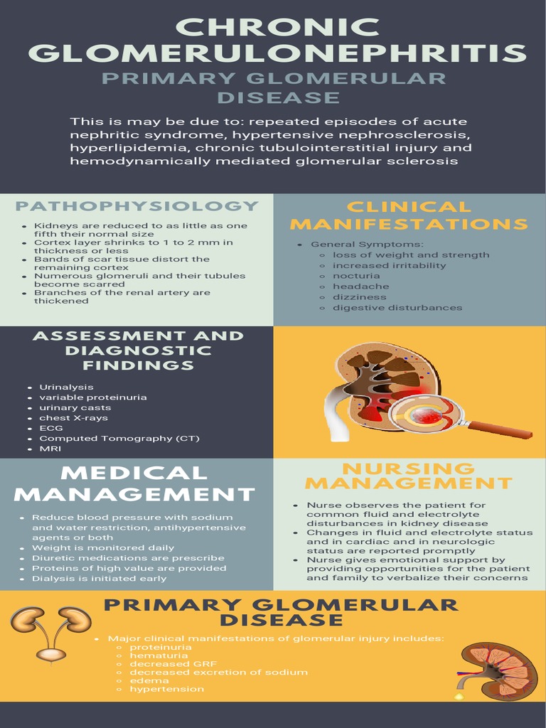 STUDENT 2 Chronic Glomerulonephritis Infographics | PDF