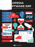 Enciclopedia Del Software ERP