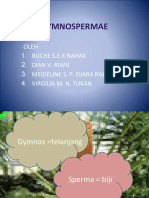 Gymnospermae: Oleh: 1. Buche S.E.K Nahak 2. Dian V. Riwu 3. Meideline S. P. Djara Raba 4. Virgilia M. N. Tukan