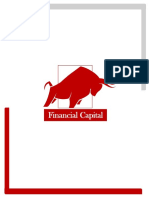 Informe Final Financial Capital - Pintuco Colombia SA
