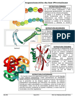 Niveles de Organización de Las Proteínas