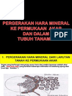 Pergerakan Hara Mineral Ke Permukaan Akar Dan Dalam Tubuh Tanaman