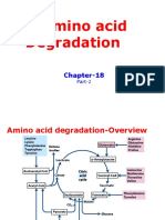 Amino Acid Degradation 