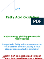 Beta Oxidation 