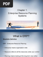 Enterprise Resource Planning Systems