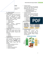 Materi Jaringan Tumbuhan 1