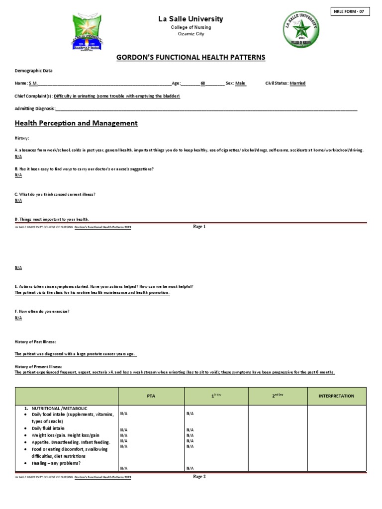 Gordons Male Medical Ward PDF