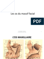 18L’OS MAXILLAIRE-1