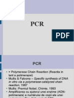 PCR99