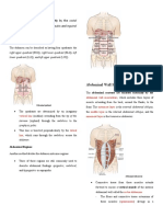 Structure and Function: Abdomen