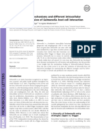 Multiple Invasion Mechanisms and Different Intracellular Behaviors: A New Vision of Salmonella-Host Cell Interaction