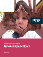Documentação Pedagógica-Textos Complementares