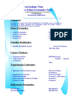 Curriculum Vitae de Dorca