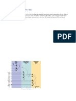 OTN Maintenance Signal Interaction