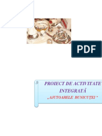 40_proiect_de_activitate