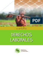 DERECHOS LABORALES Cartilla Paraguay 1