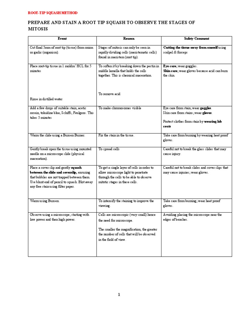Practical 6 Root Tip Squash Method PDF