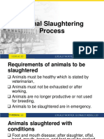 Guide Animal Slaughter Process