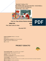 Proiect didactic-DLC