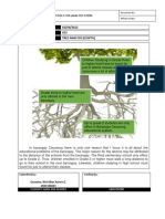 Tree Analysis