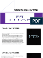 Internalization Process of Titan