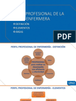 Perfil Profesional de La Enfermeria