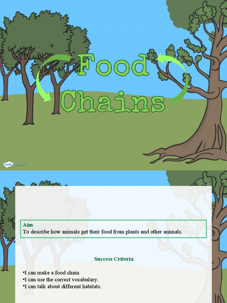Food Chains Powerpoint Biology Diagrams