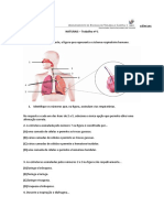 Ficha de Trabalho 1