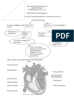 Darwin Sequera - Cuestionario Cardiorespiratorio
