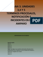 Terminos Procesales, Notificación e Incidentes en El Amparo (13453)