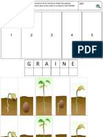 Images Séquentielles Croissance Graine