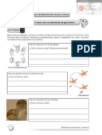 BIOLOGI A II 2020 1 Planeaciones PDF 14 15