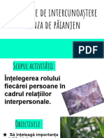 Activitate de Intercunoaștere Pânza de Păianjen