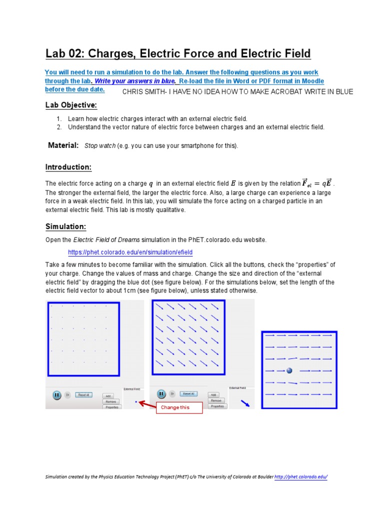 PhET Lab: Charges and Electric Fields | PDF | Force | Acceleration