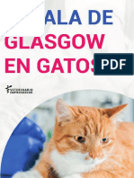 Escala de Glasgow Felinos