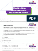 Consulta Ley Chamba Juvenil