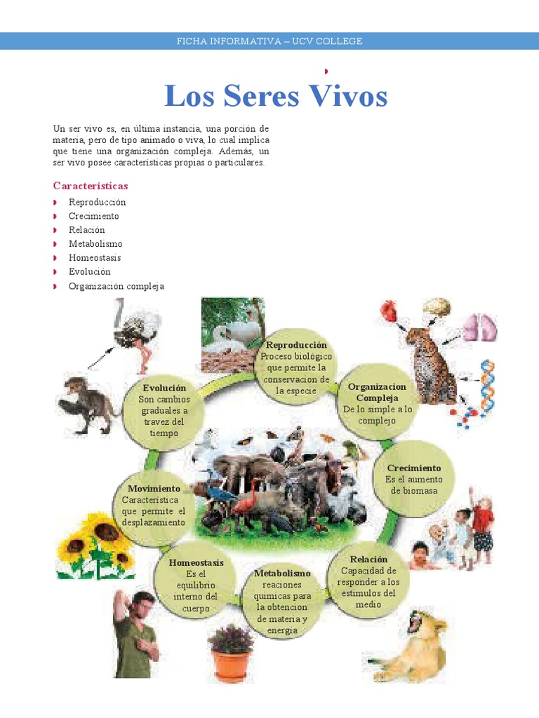 Los Seres Vivos | Descargar gratis PDF | Organismos | Reproducción