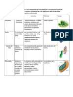 (Template) Tabla de Orgánulos Celulares