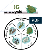 Frog Life Cycle Wheel Craft