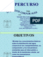 Líquidos Corporales