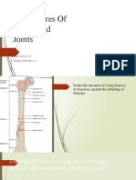 Features of Bones and Joints (11j