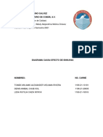 Herramienta Diagrama Causa Efecto