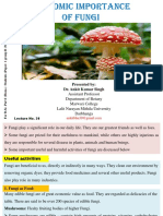 Economic Importance of Fungi