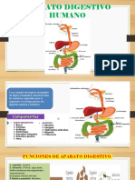 DIGESTIVO (3)