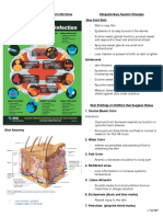 Skin Infection