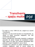 Transilvania Spatiu Multietnic
