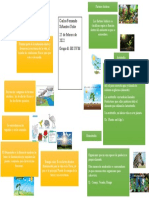 Mapa Conceptual Abioticos Bioticos