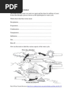 3rd Grade | Water Cycle Worksheet