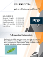 PPG Euglenophyta Kelompok II